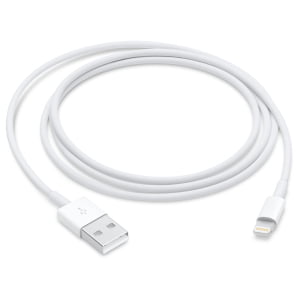 Apple Lightning zu USB Kabel 1 m