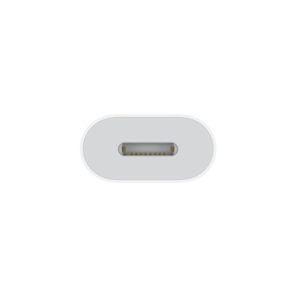 Apple USB-C zu Lightning Adapter